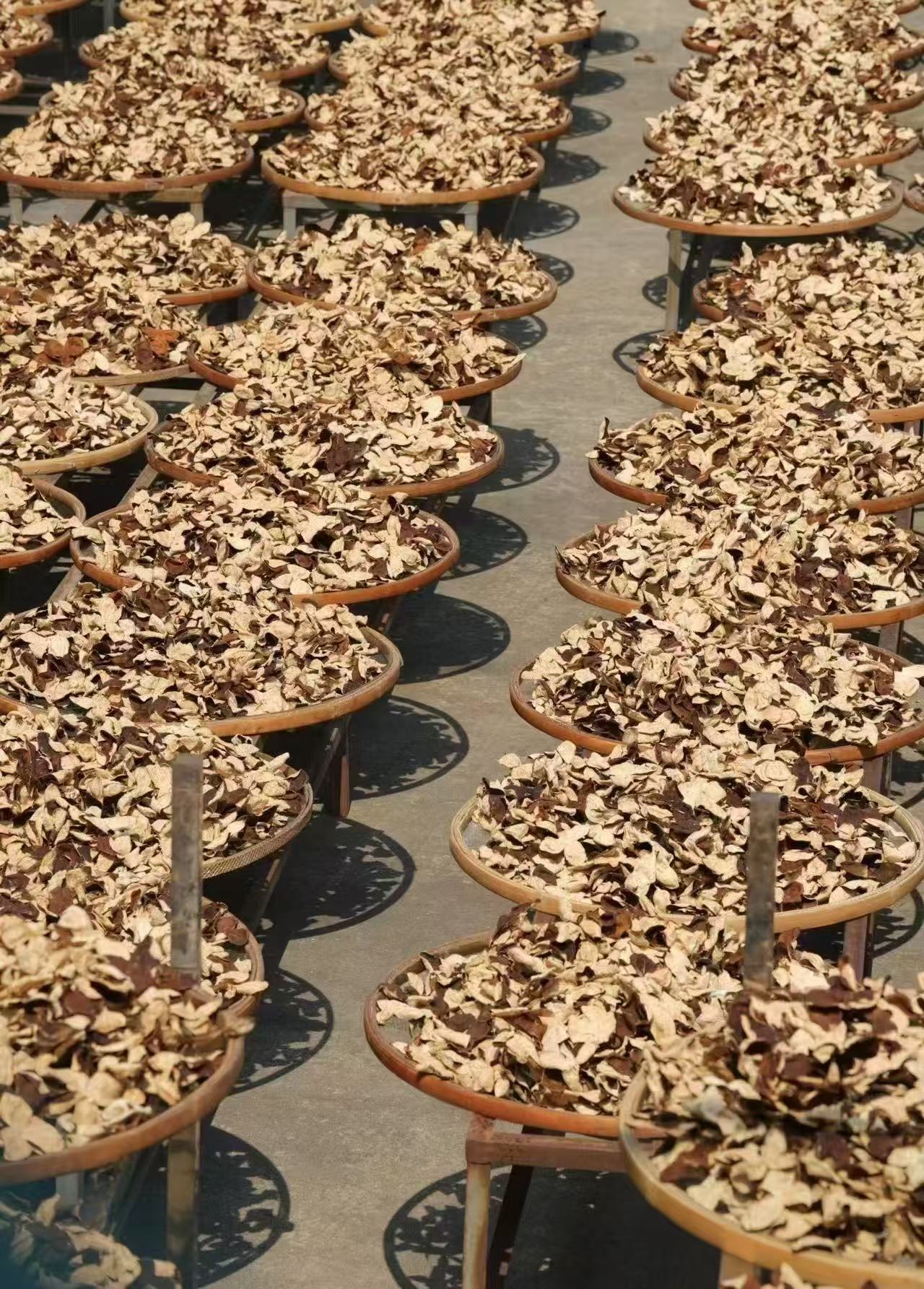 Sun-dried chenpi peels on bamboo trays at our Xinhui facility