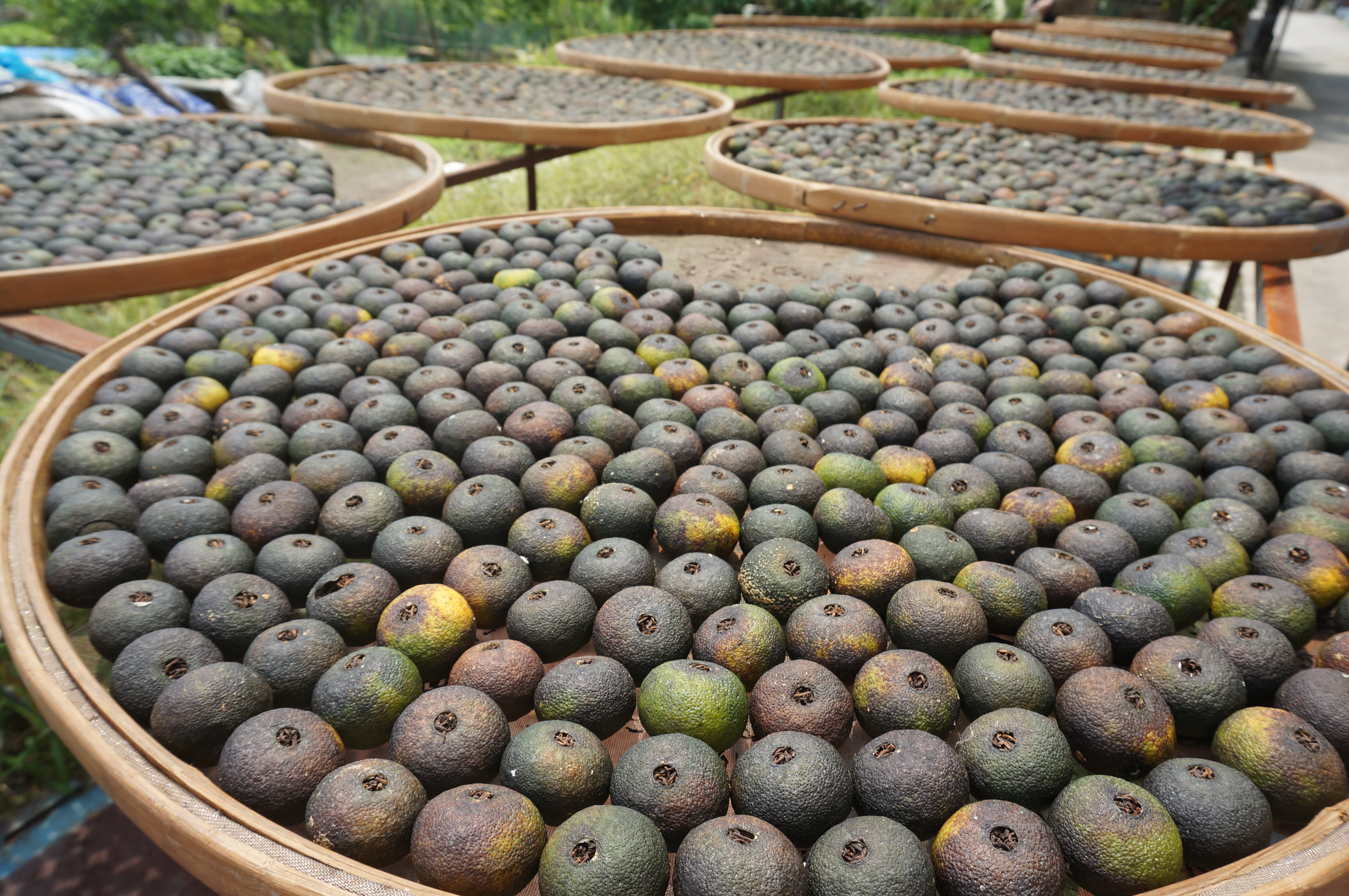 Xiaoqinggan sun-drying on bamboo trays